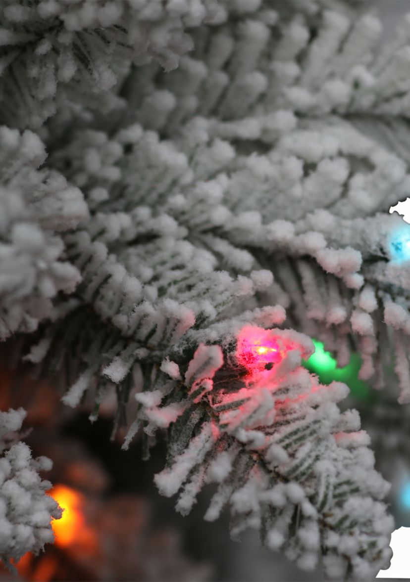 Pre-Lit 7.5-Foot Slim Flocked Franklin Fir Christmas Tree