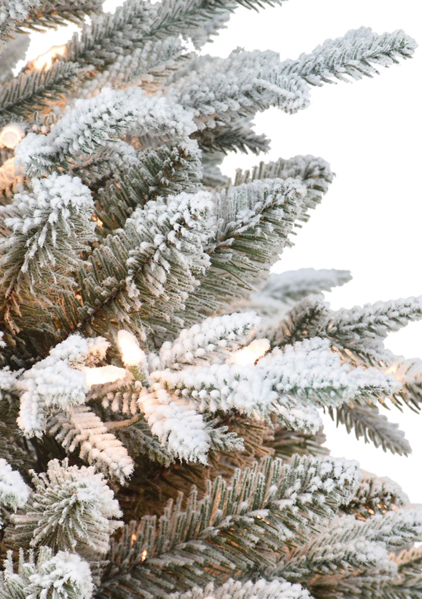 Slim Flocked Northern Fir PE/PVC Tree