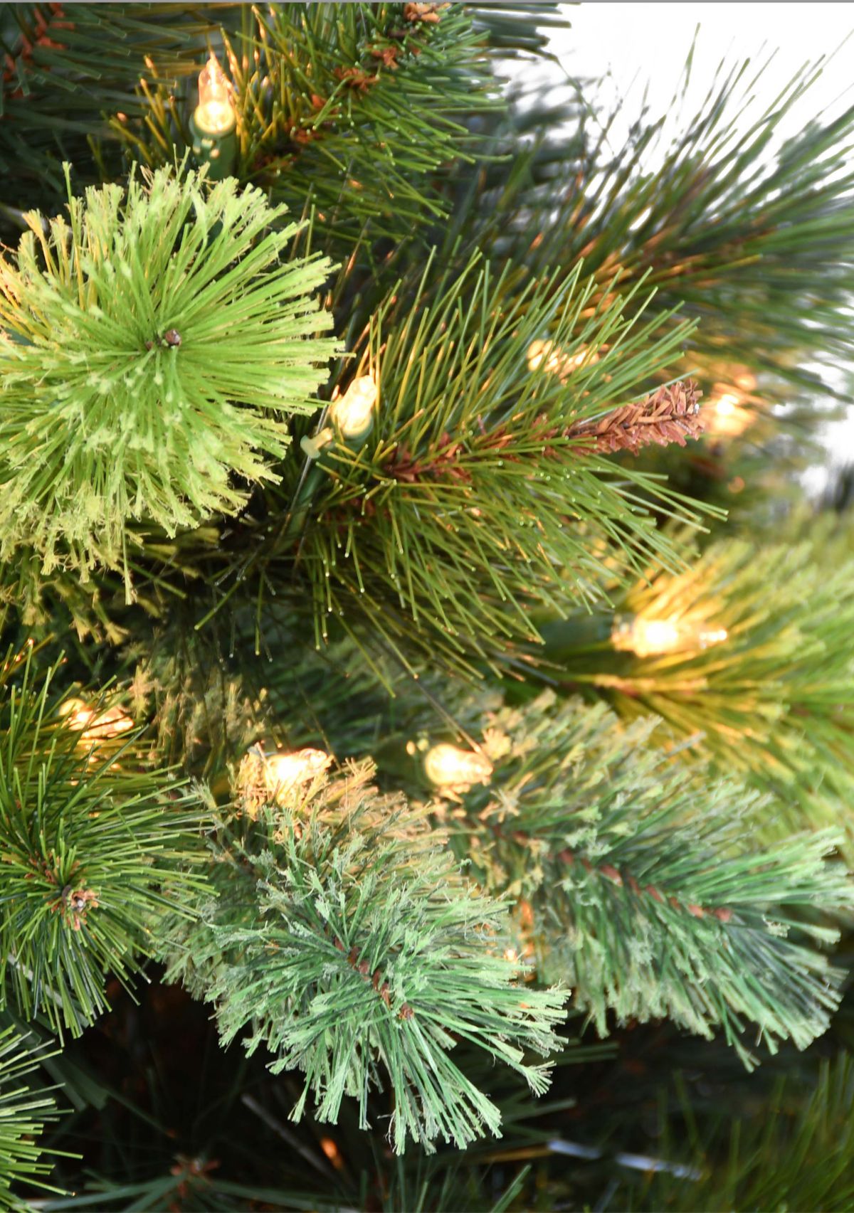 Pre-Lit 7.5-Foot Slim Portsmouth Pine Christmas Tree Cashmere Tips