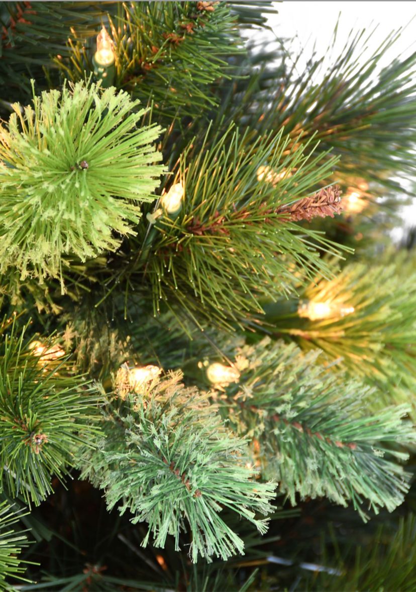Pre-Lit 7.5-Foot Slim Portsmouth Pine Christmas Tree Cashmere Tips
