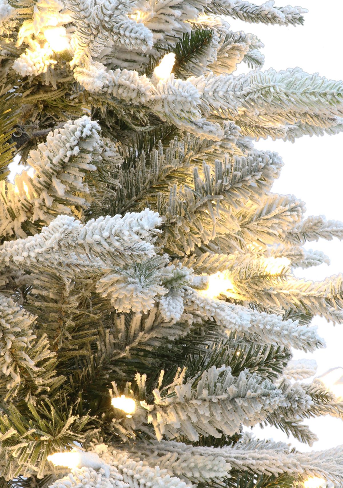 6 ft Pre-lit Potted Flocked Arctic Fir Artificial Christmas Tree with 200 Warm White LED Lights UL Adapter