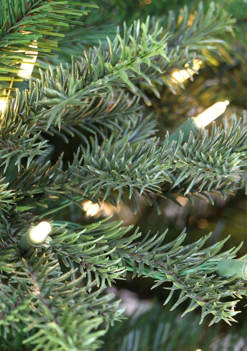 6.5 ft Pre-lit Slim Royal Majestic Douglas Fir Downswept Artificial Christmas Tree 350 UL Clear Lights Metal Stand Green