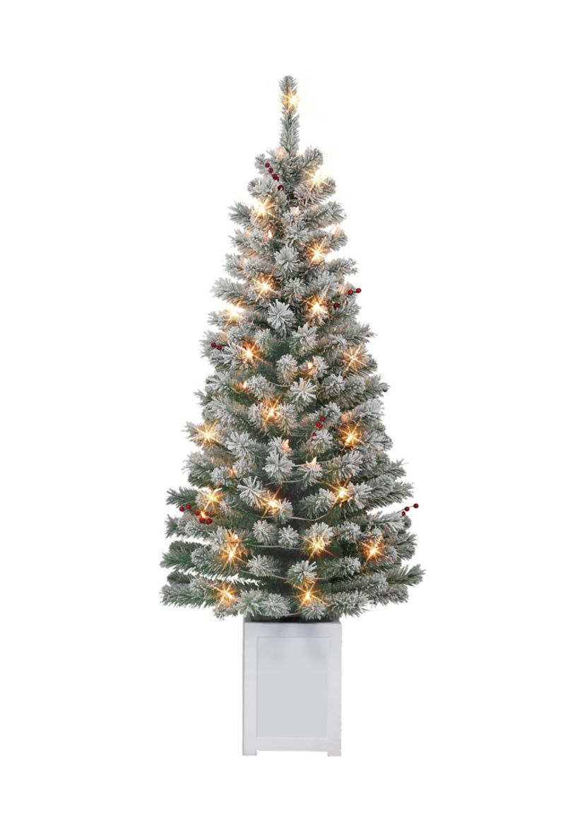 Set of 2 5 ft Pre-Lit Potted Flocked Western Spruce Trees