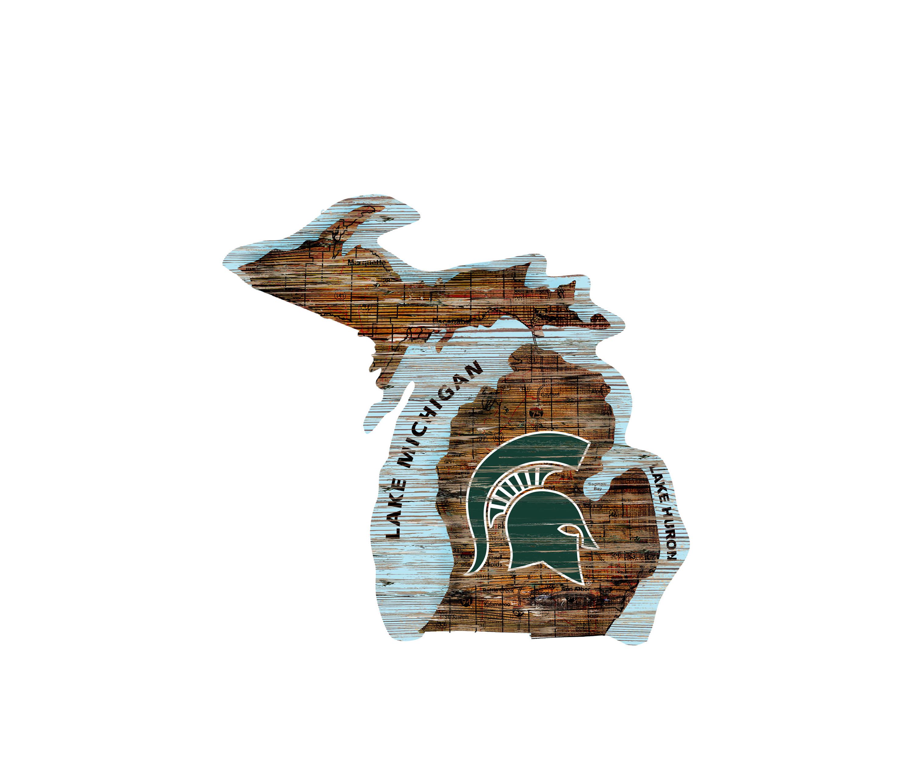 NCAA Michigan State Spartans Distressed State with Logo