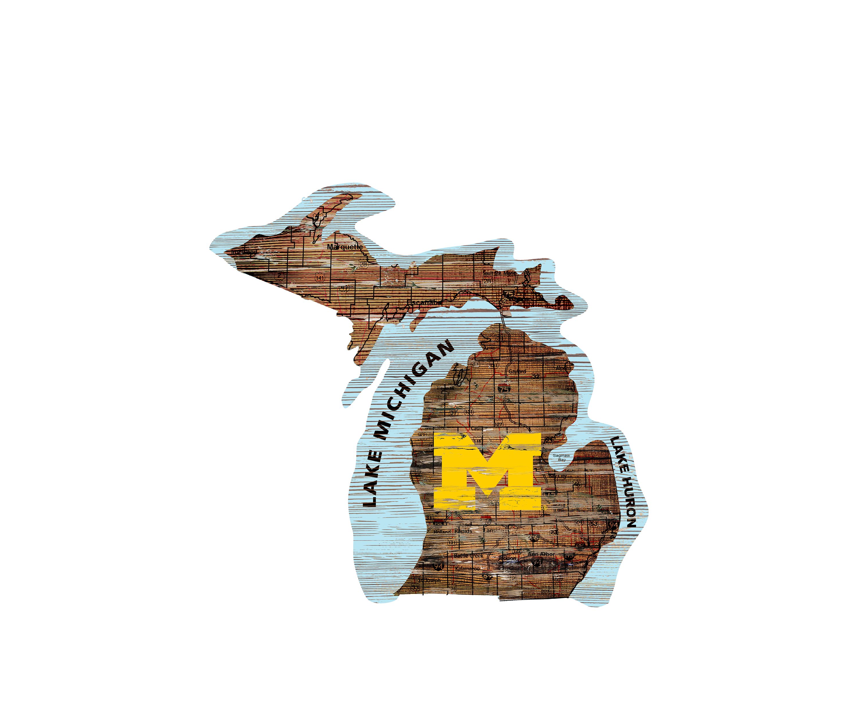 NCAA University of Michigan State Wolverines Distressed State with Logo