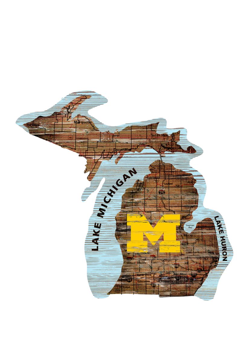 NCAA University of Michigan State Wolverines Distressed State with Logo
