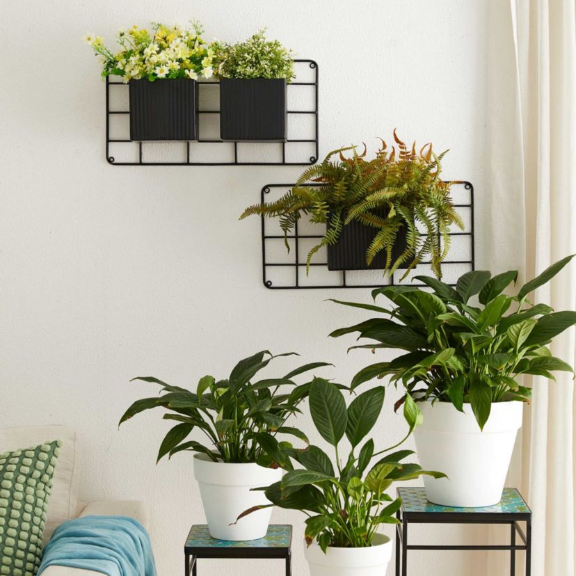 20L Black Metal Vertical Wall Planters, Planter Stands (KD)L: 8.00L * 6.00W *5.5HS: 6.00L * 6.00W *5.5HWeight capacity: 40LBSMetal Thickness：0.4mm   Pipe Thickness：6mm