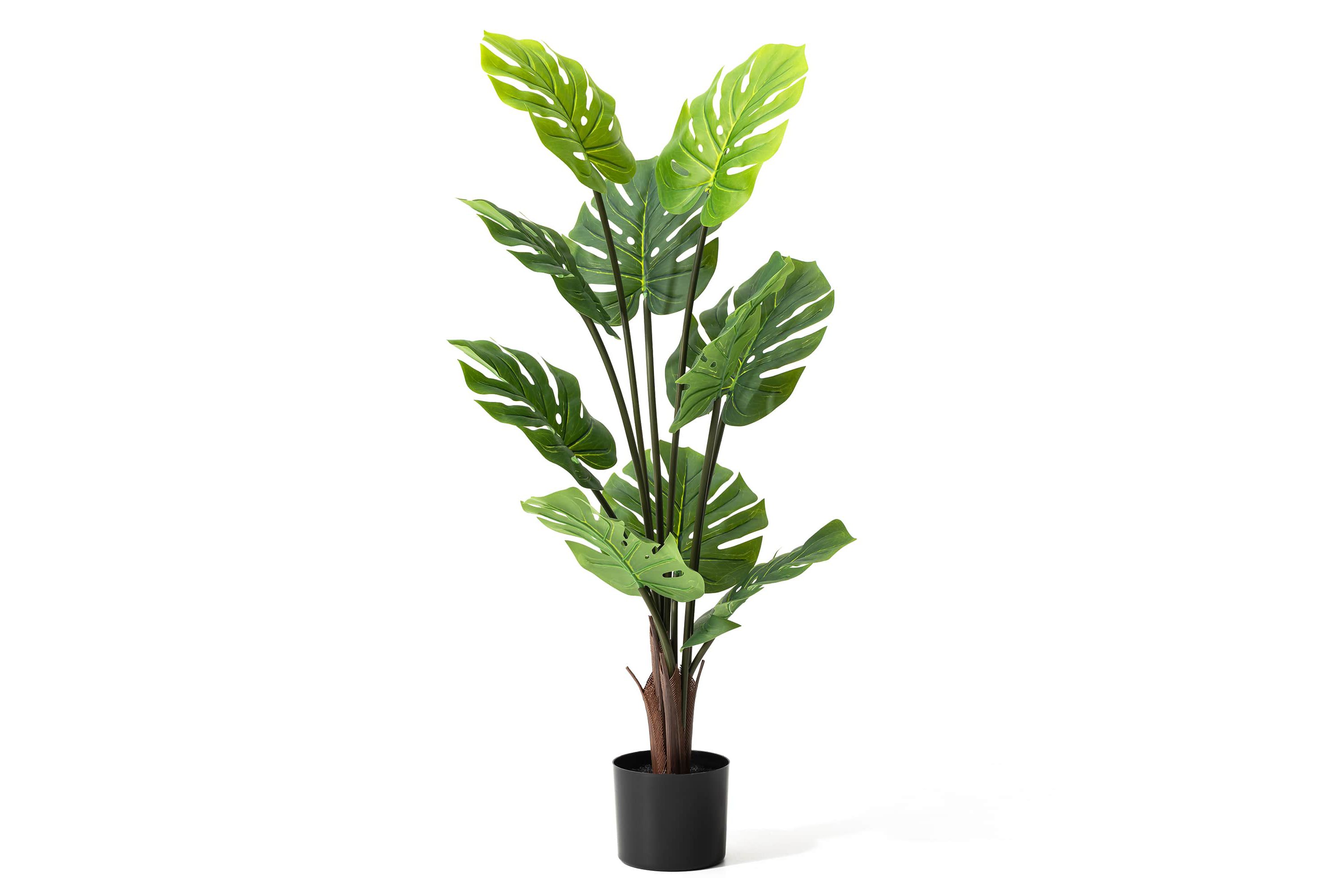 3.5ft. Faux Monstera deliciosa Liebm in PotOverall: 18.00"L X 18.00"W X 41.00"HPot Size：6"D X 5"H