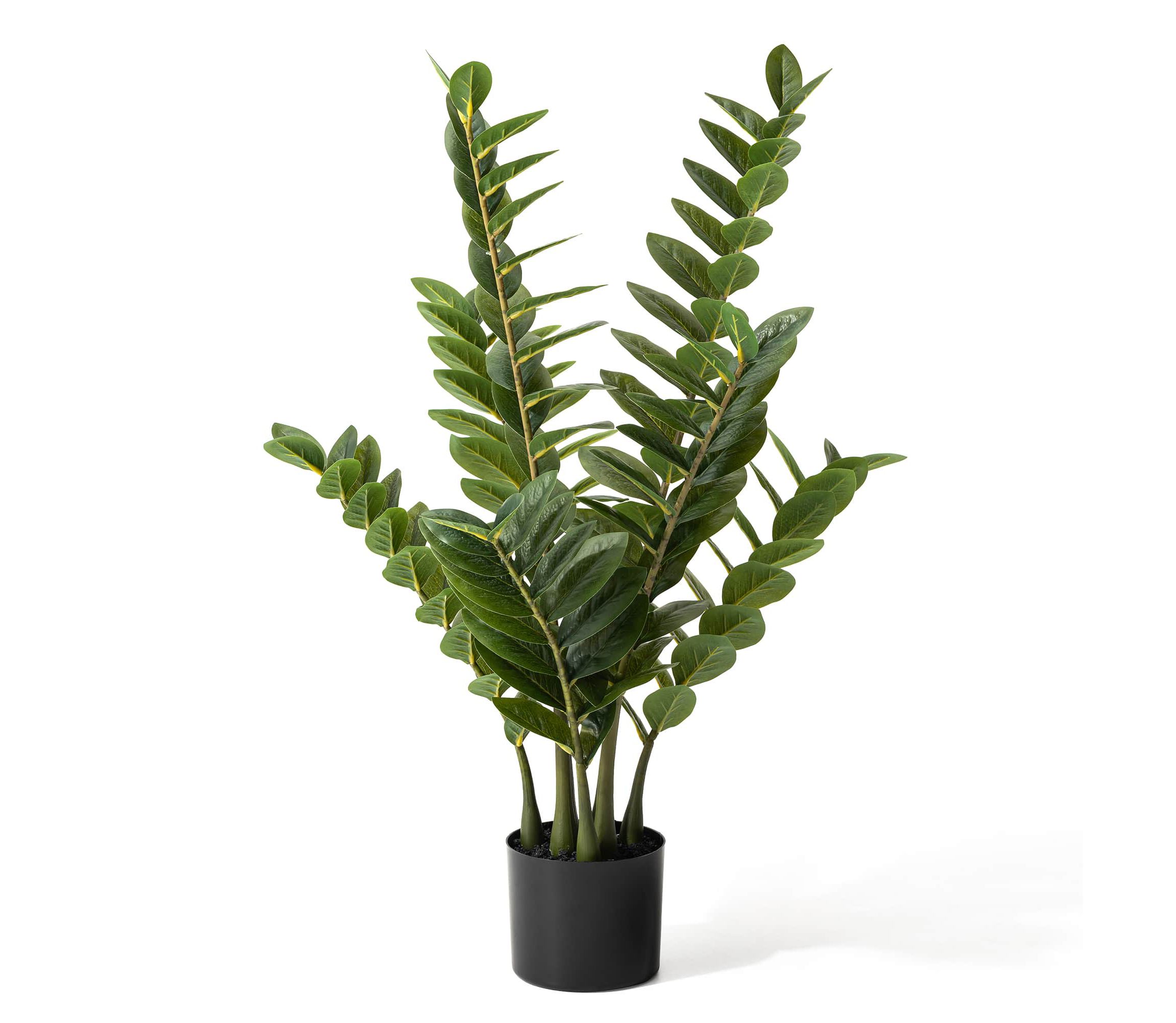 2.75ft. Faux  Money Tree in PotOverall: 17.00"L X 17.00"W X 33.00"HPot Size：6"D X 5"H