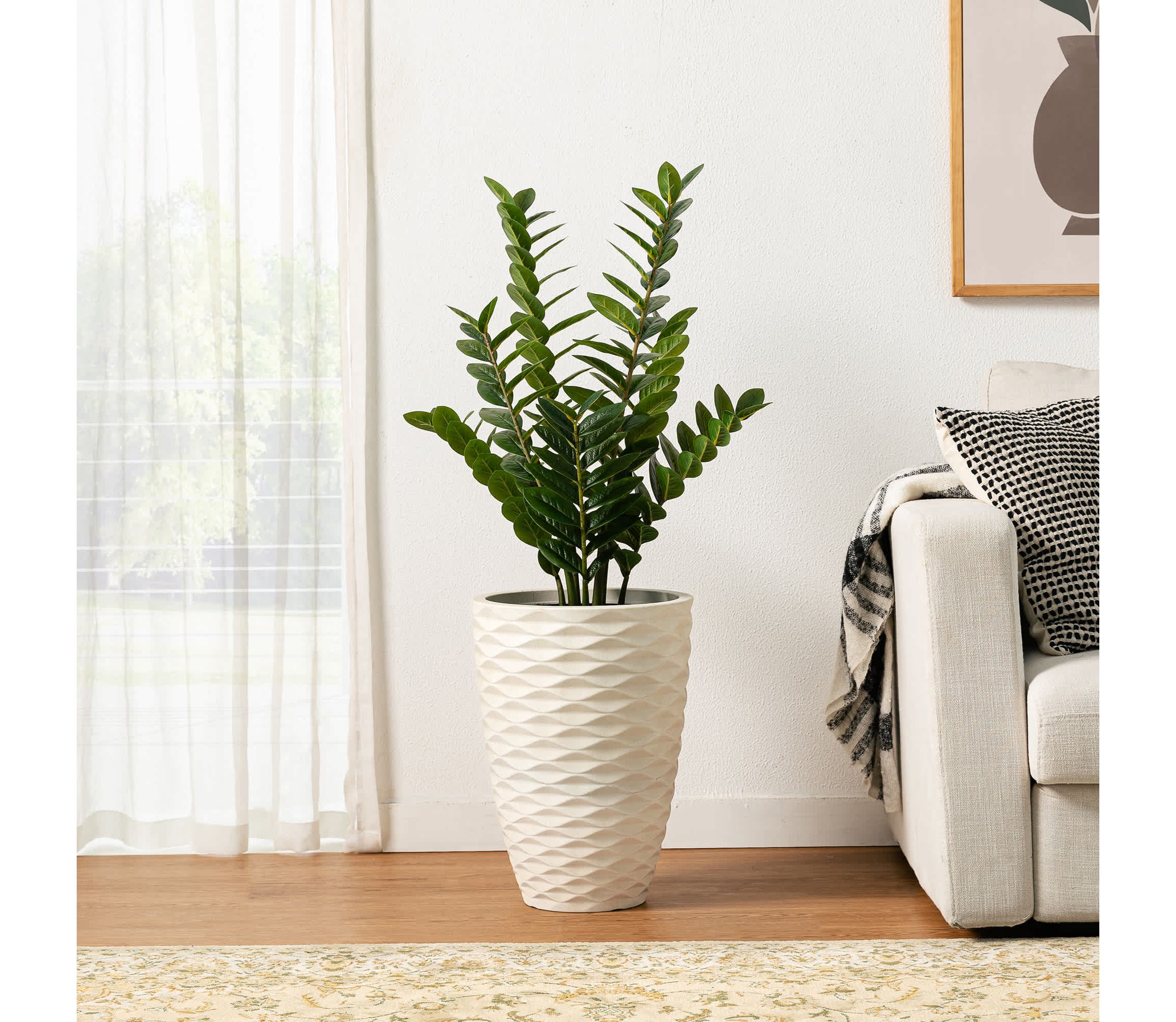 2.75ft. Faux  Money Tree in PotOverall: 17.00"L X 17.00"W X 33.00"HPot Size：6"D X 5"H