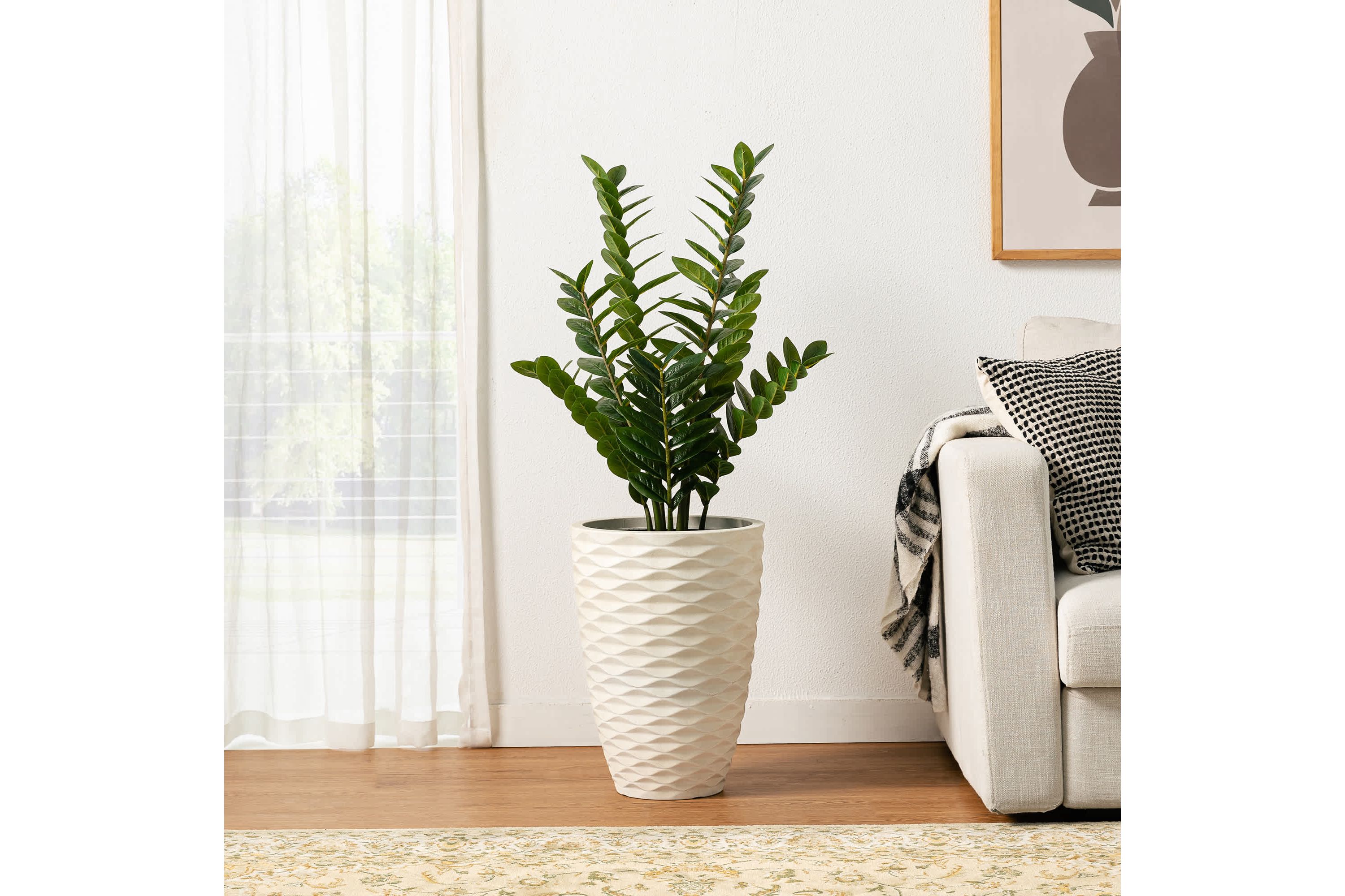 2.75ft. Faux  Money Tree in PotOverall: 17.00"L X 17.00"W X 33.00"HPot Size：6"D X 5"H