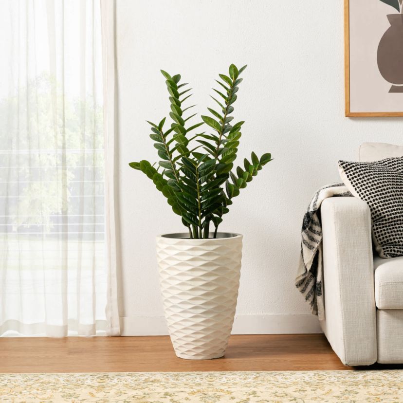 2.75ft. Faux  Money Tree in PotOverall: 17.00"L X 17.00"W X 33.00"HPot Size：6"D X 5"H