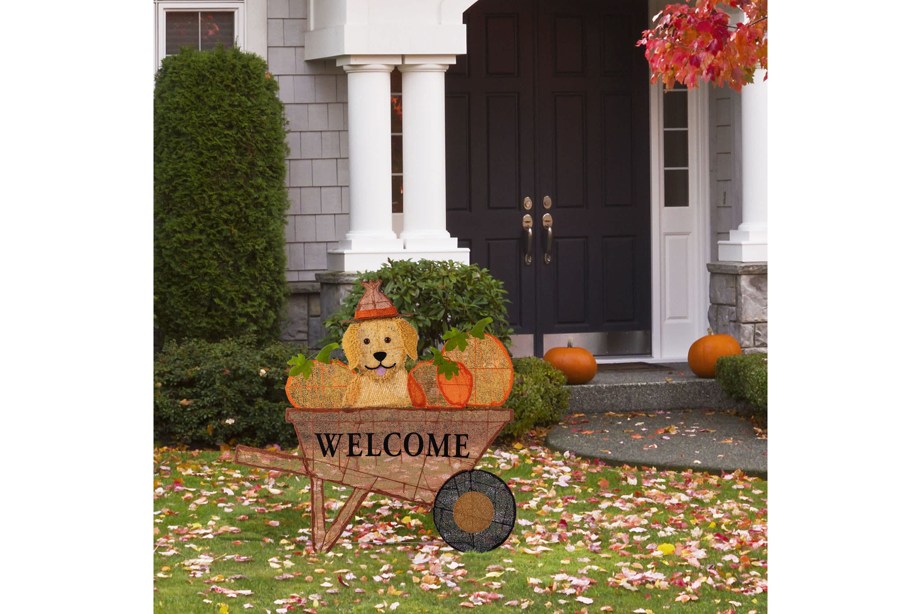 36.25“L Lighted Fall  Pumpkin Wheel Barrow with Labrador Outdoor Décor with 130 Warm White LED Lights （KD）