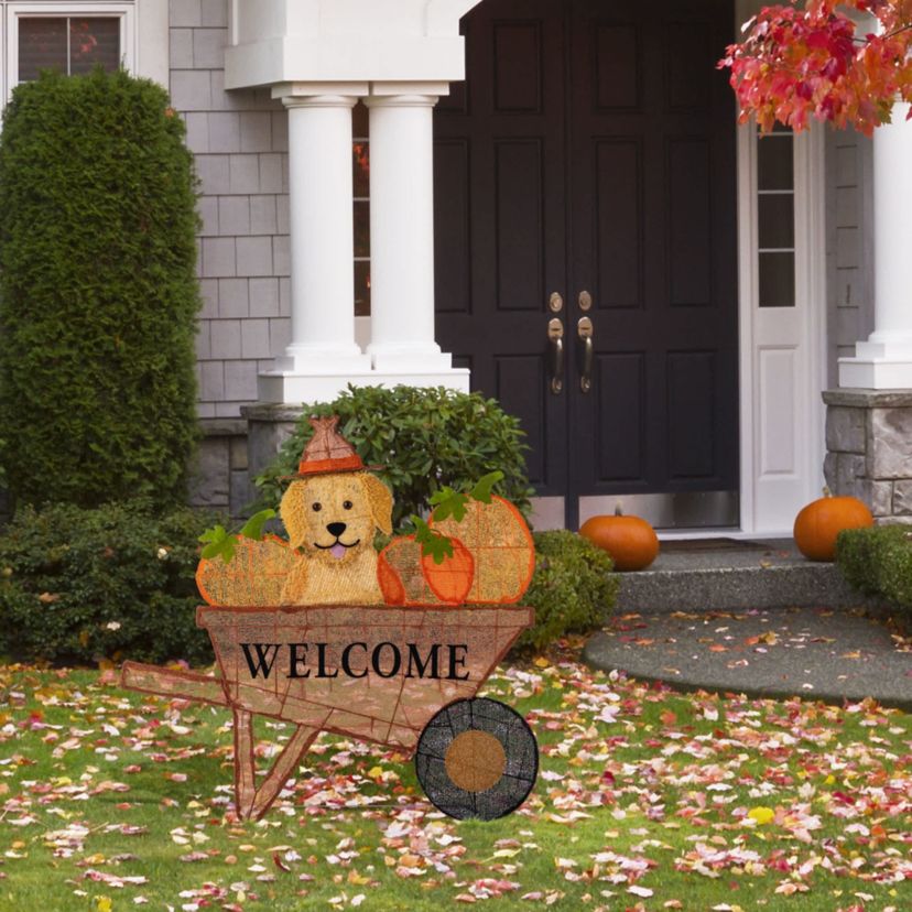 36.25“L Lighted Fall  Pumpkin Wheel Barrow with Labrador Outdoor Décor with 130 Warm White LED Lights （KD）