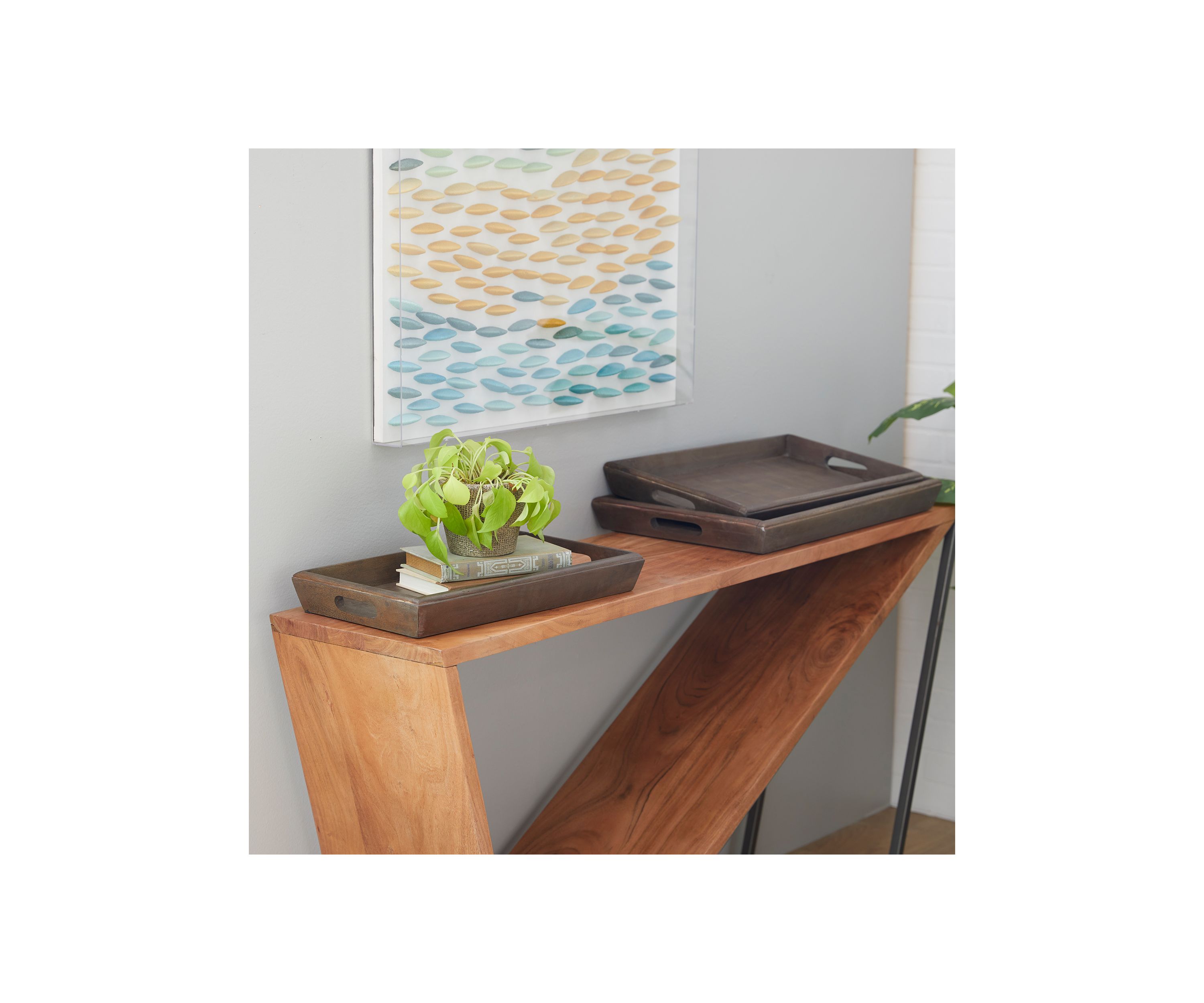 Mango Wood Contemporary Tray - Set of 3