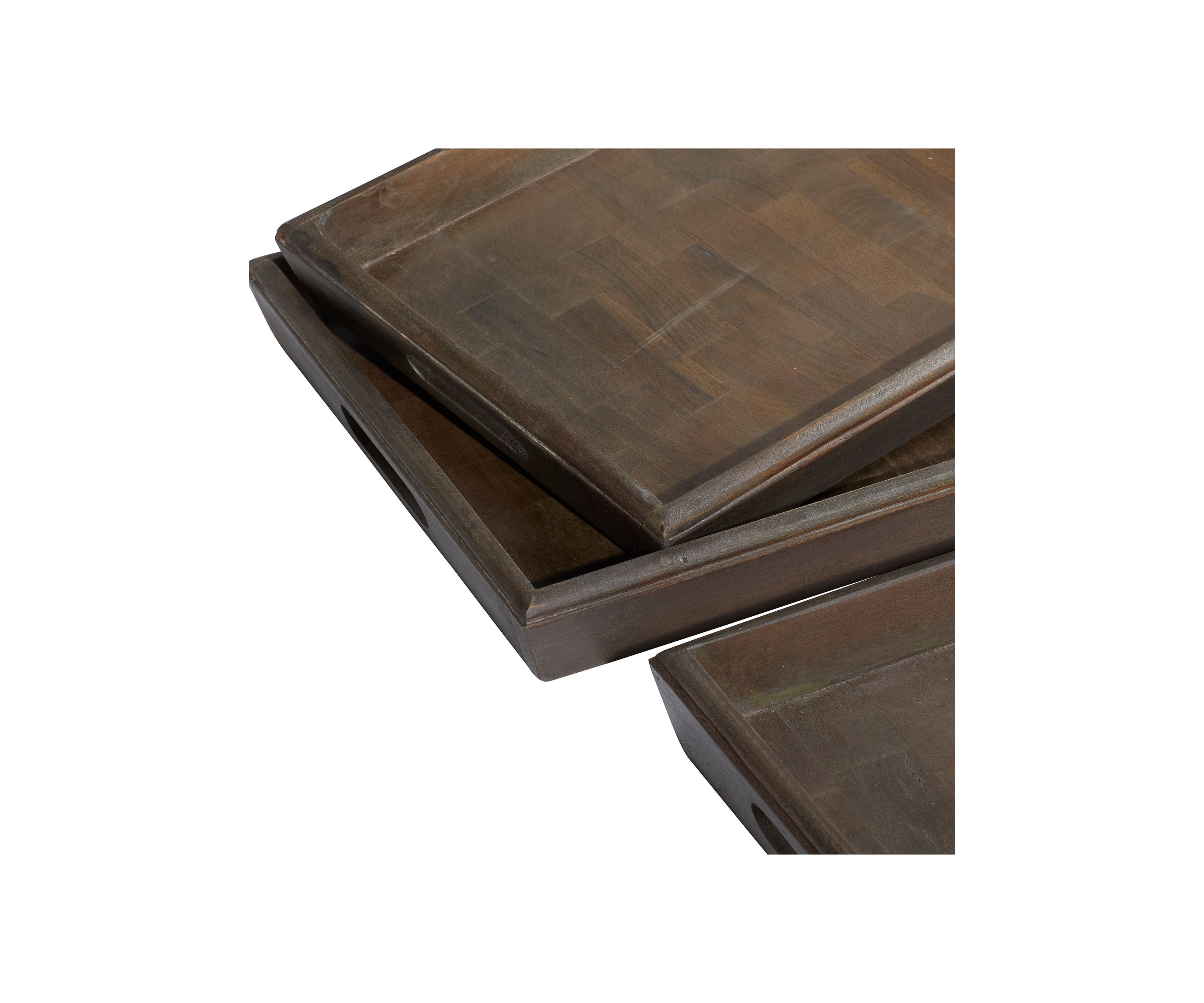Mango Wood Contemporary Tray - Set of 3