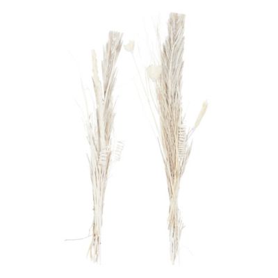 Coastal Dried Plant Natural Foliage - Set of 2