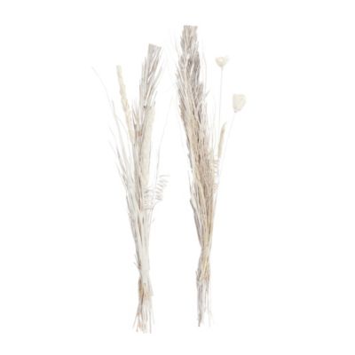 Coastal Dried Plant Natural Foliage - Set of 2