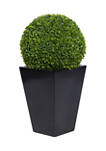 Contemporary Fiberglass Topiary