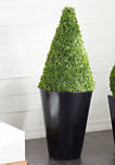 Contemporary Fiberglass Topiary