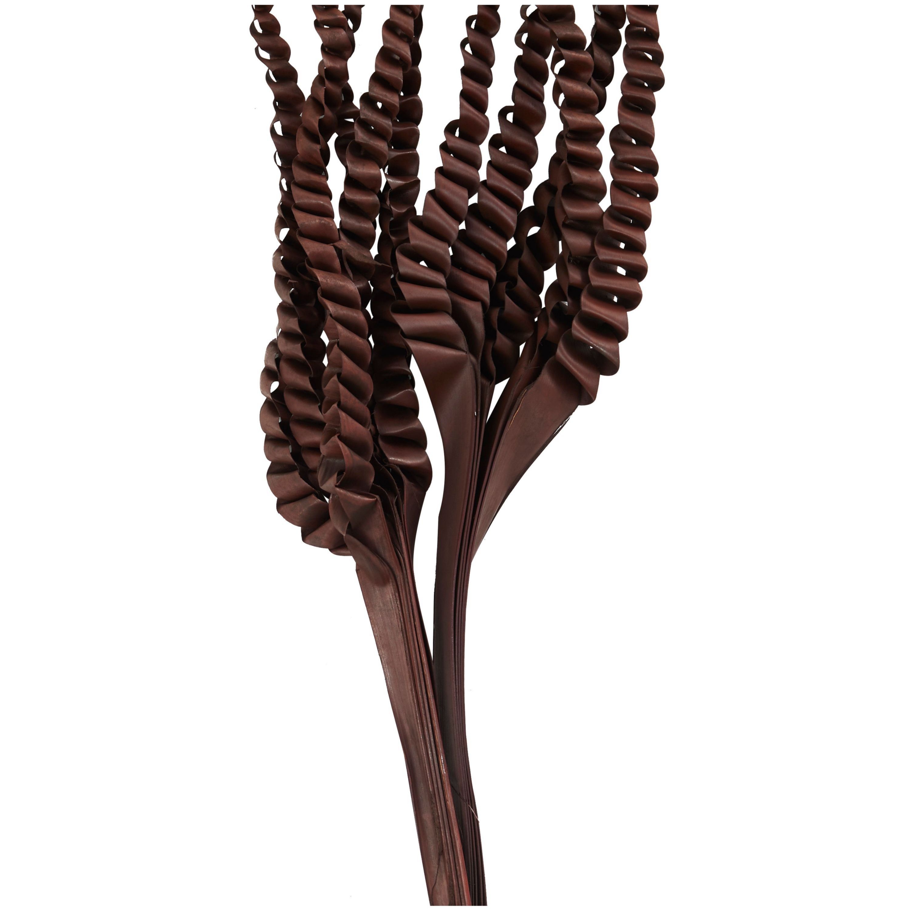 Traditional Dried Plant Natural Foliage