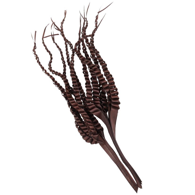 Traditional Dried Plant Natural Foliage