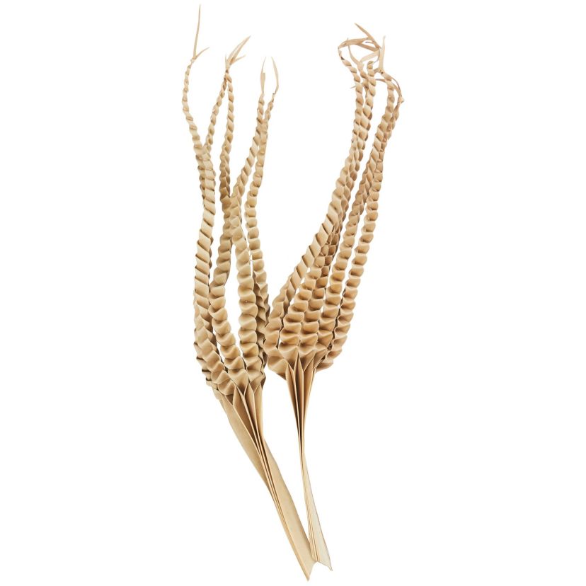 Traditional Dried Plant Natural Foliage