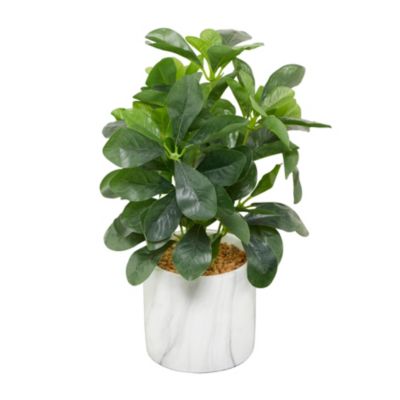 Modern Faux Foliage Artificial Plant