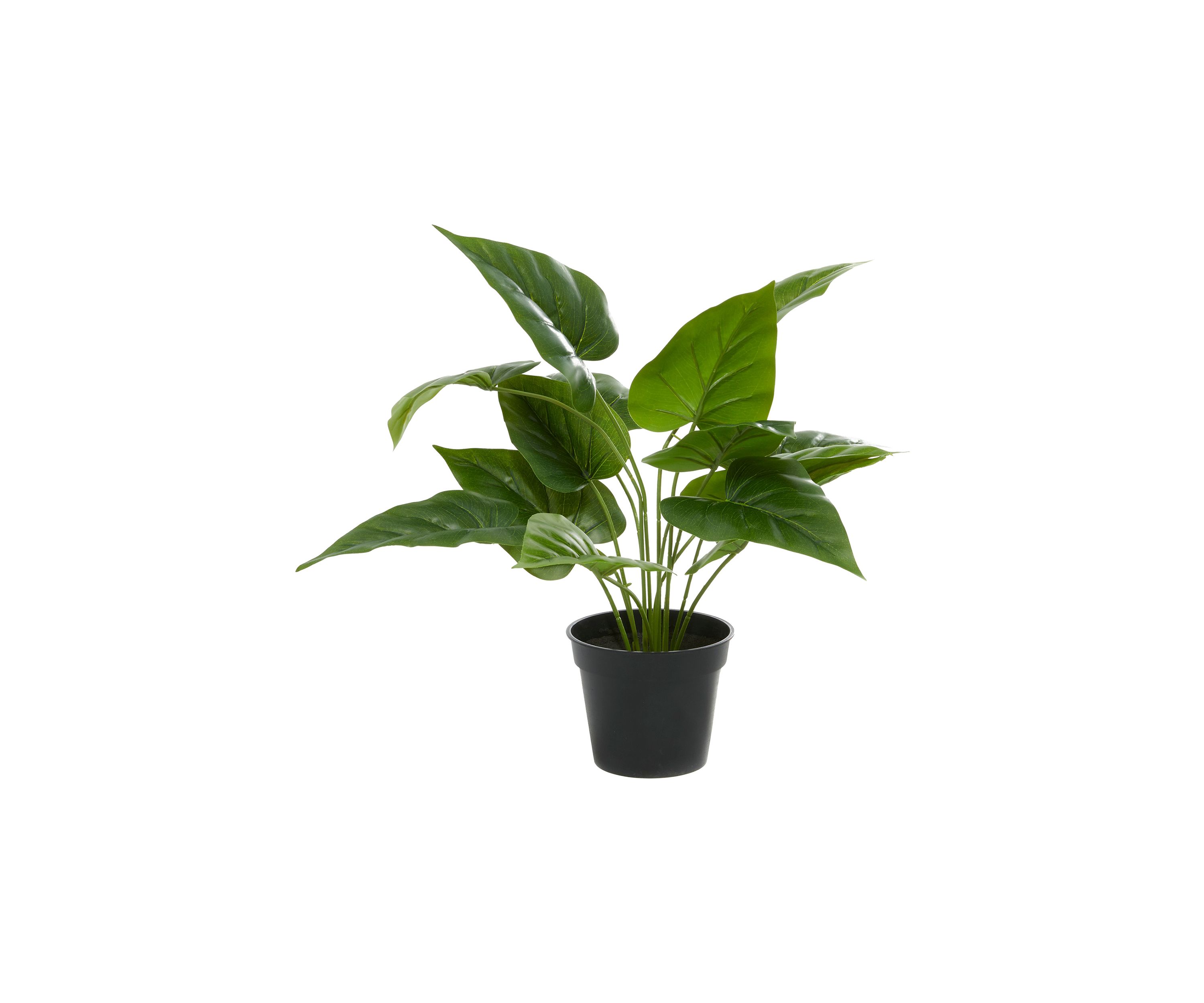 Traditional Faux Foliage Artificial Plant