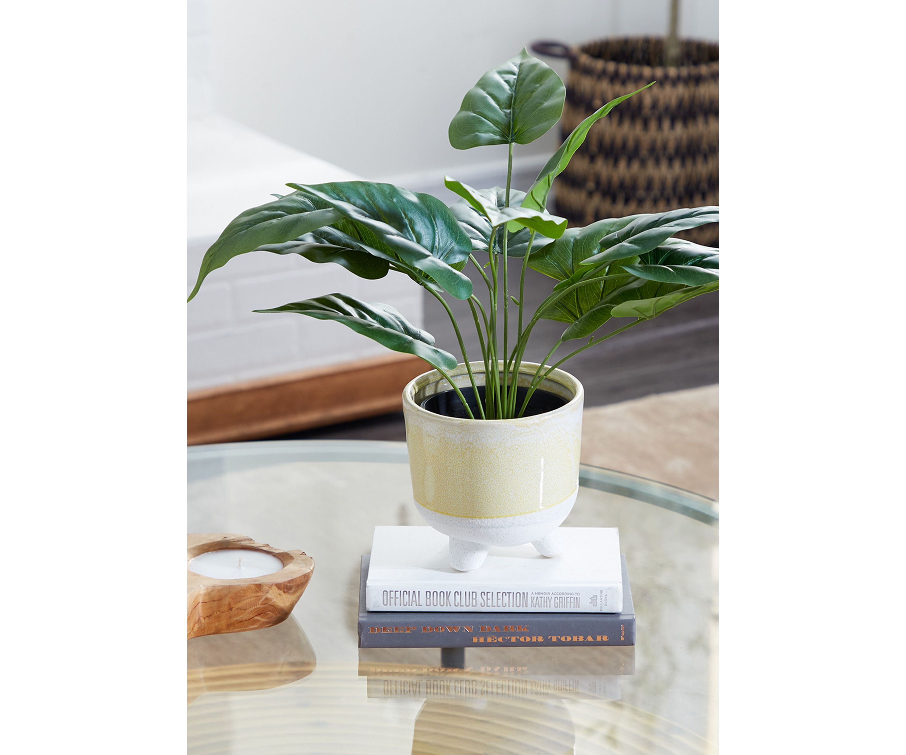 Traditional Faux Foliage Artificial Plant