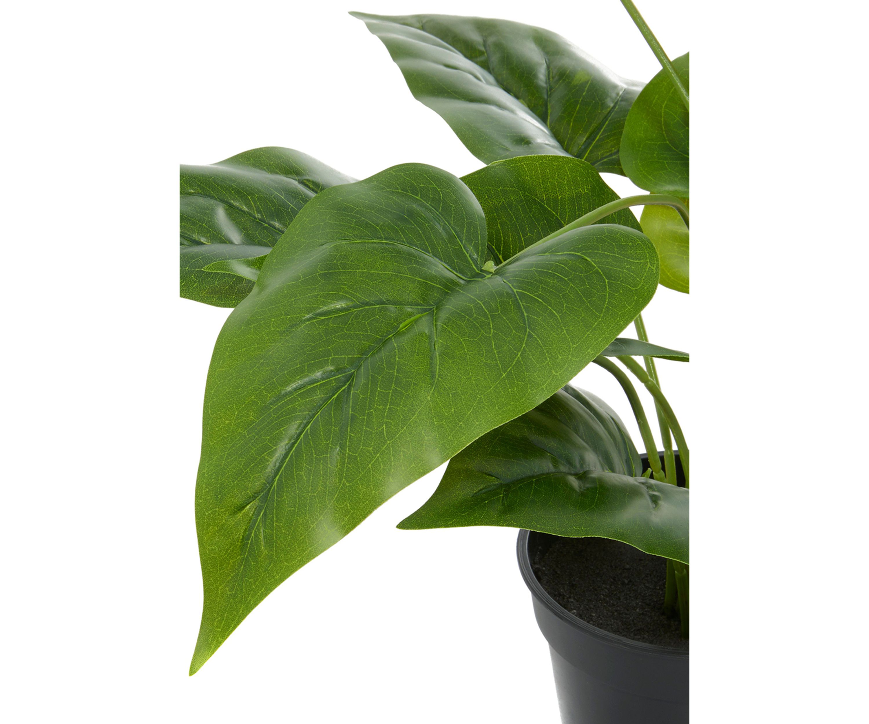 Traditional Faux Foliage Artificial Plant