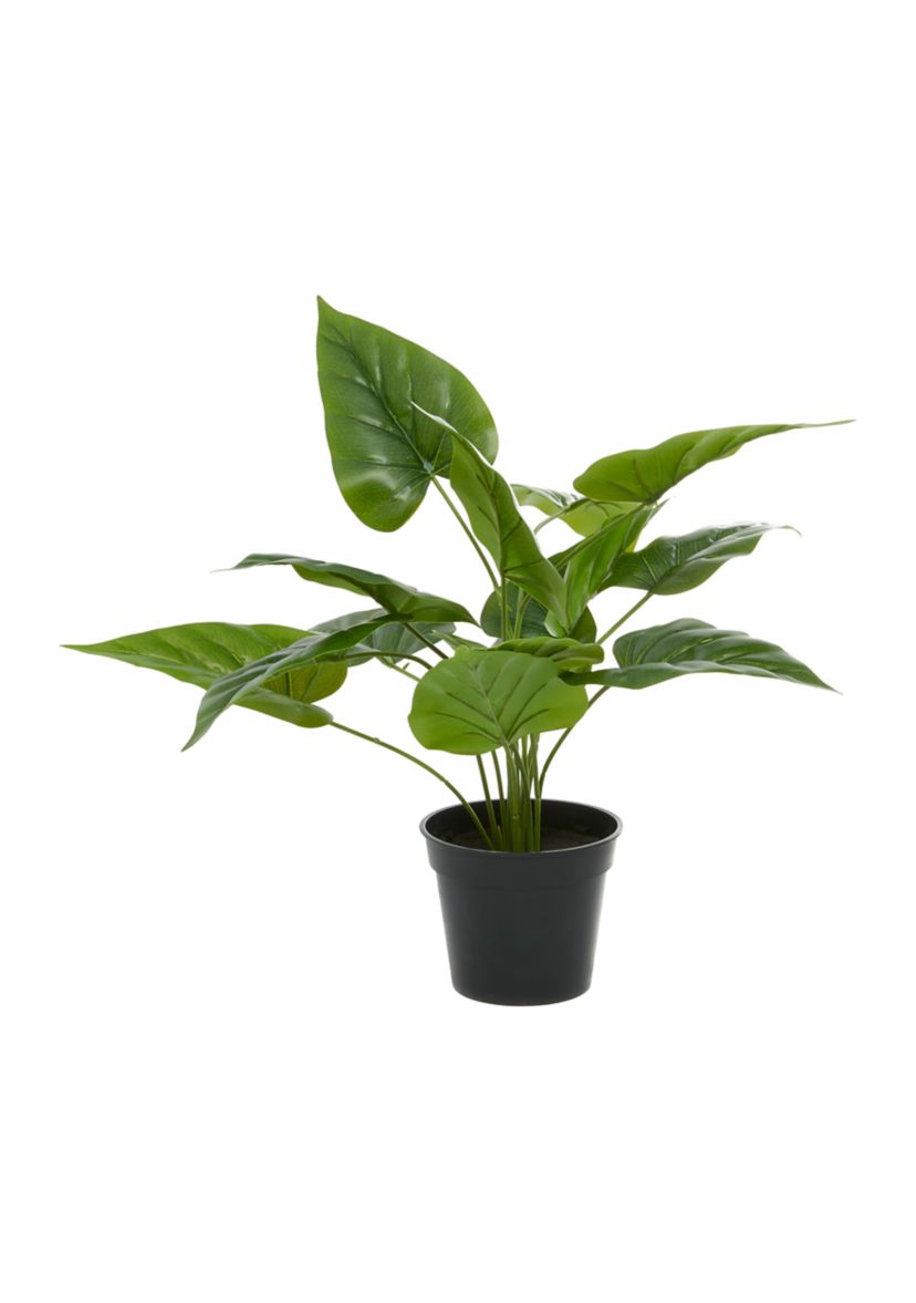 Traditional Faux Foliage Artificial Plant