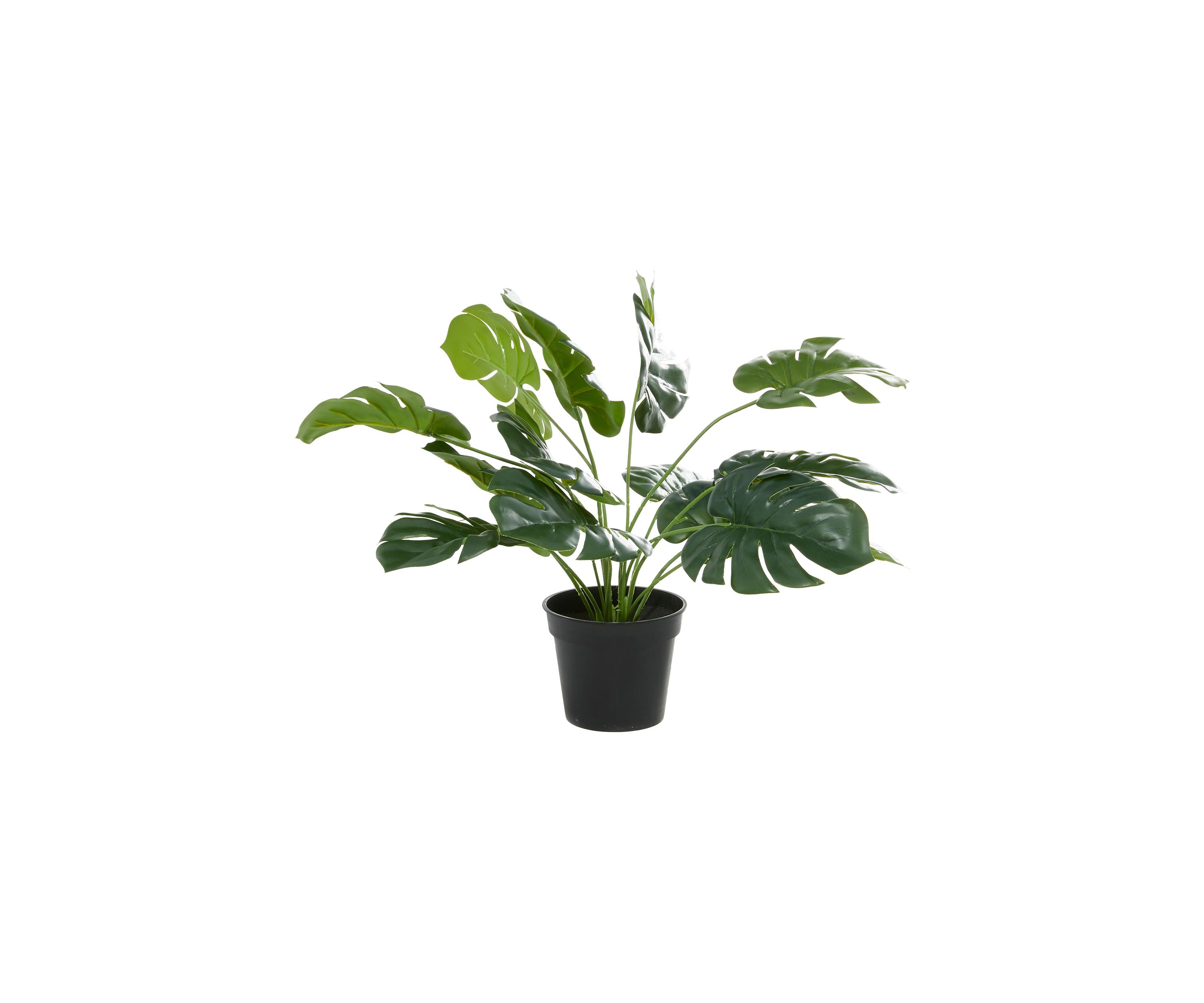 Traditional Faux Foliage Artificial Plant