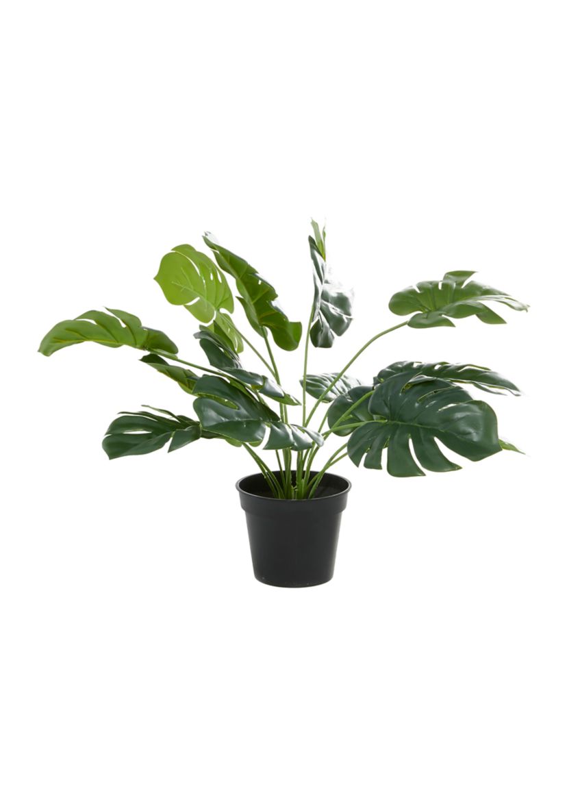 Traditional Faux Foliage Artificial Plant