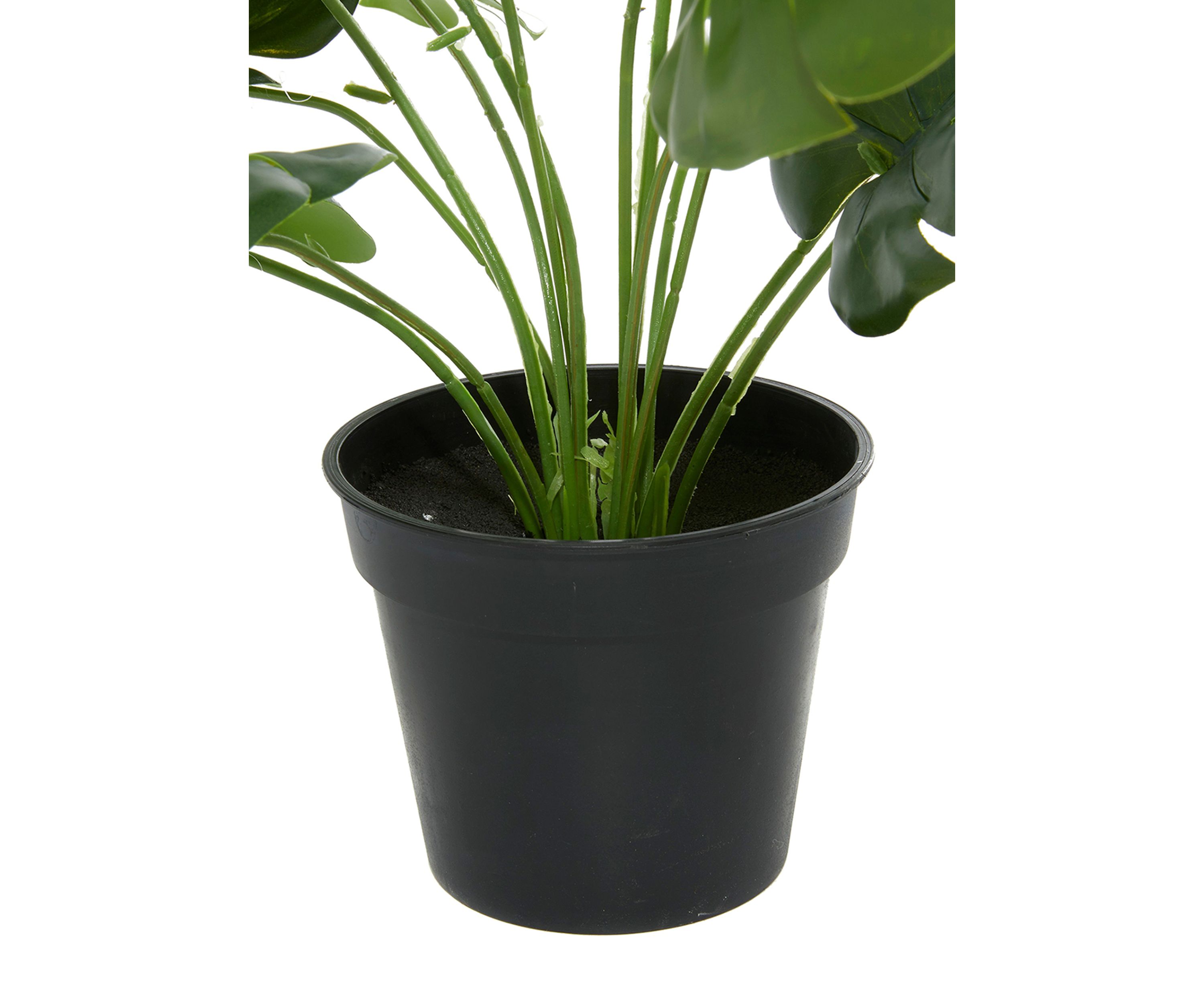 Traditional Faux Foliage Artificial Plant