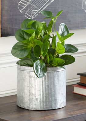 Traditional Faux Foliage Artificial Plant