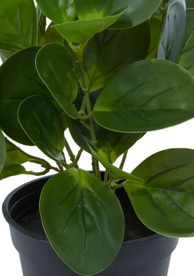 Traditional Faux Foliage Artificial Plant