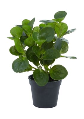 Traditional Faux Foliage Artificial Plant
