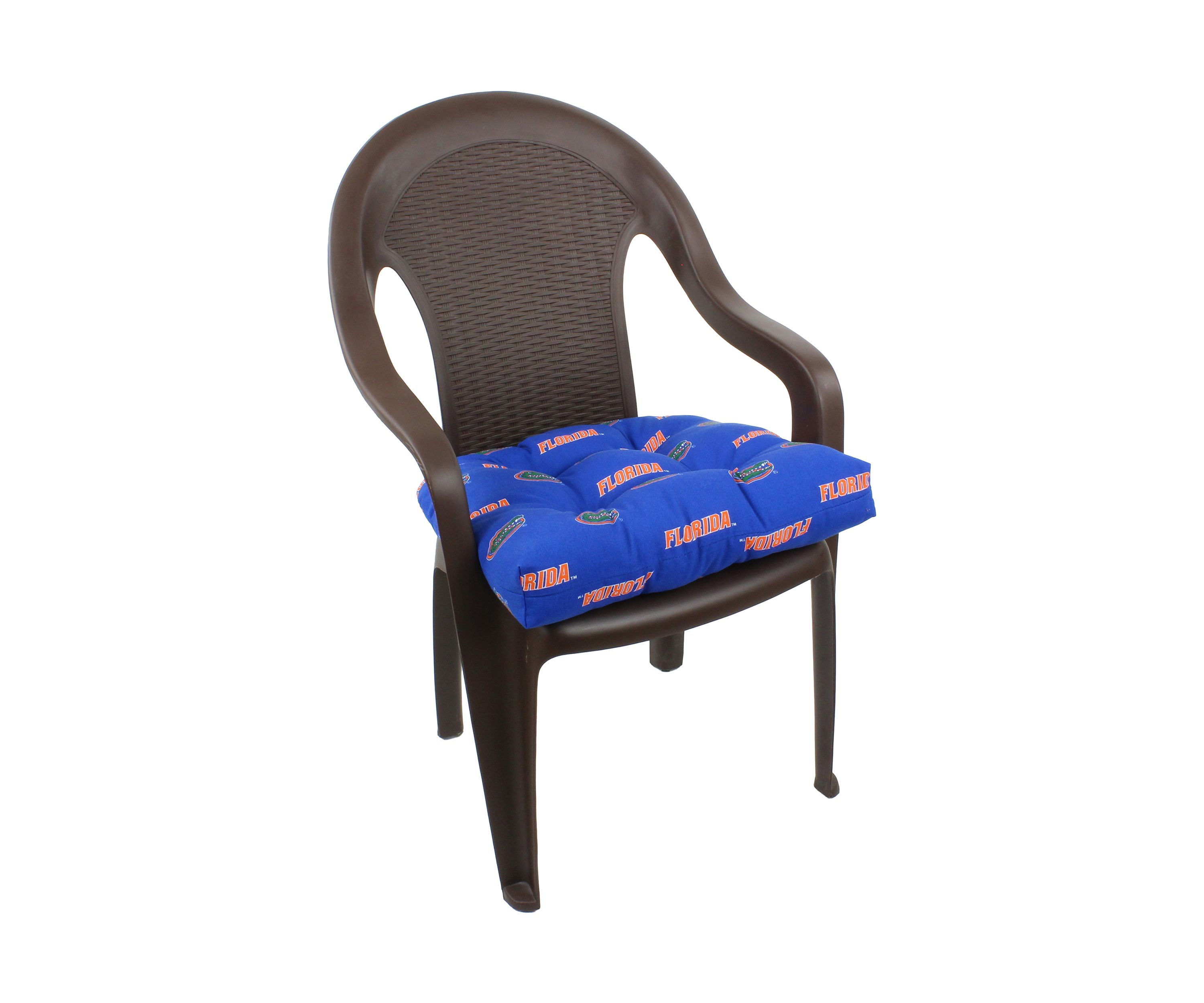 NCAA Florida Gators D Cushion