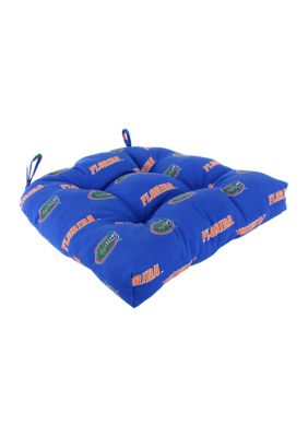 NCAA Florida Gators D Cushion