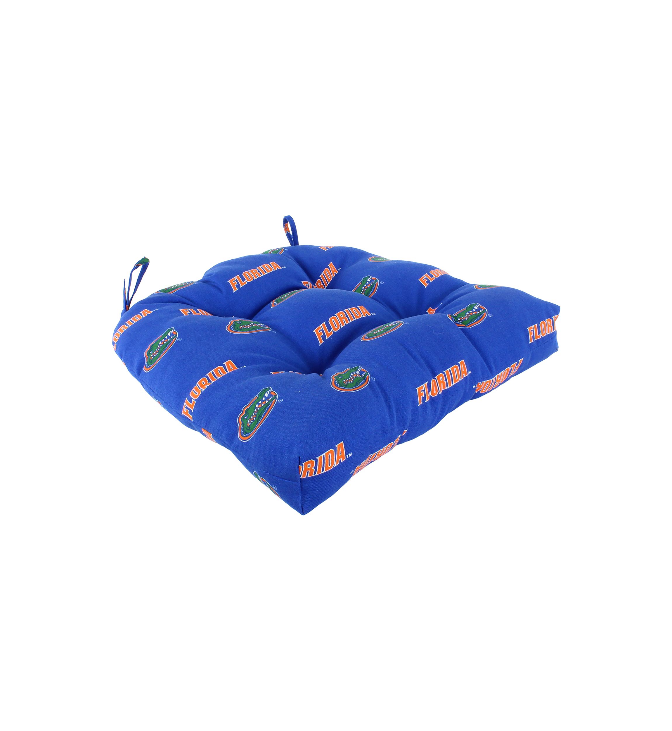 NCAA Florida Gators D Cushion