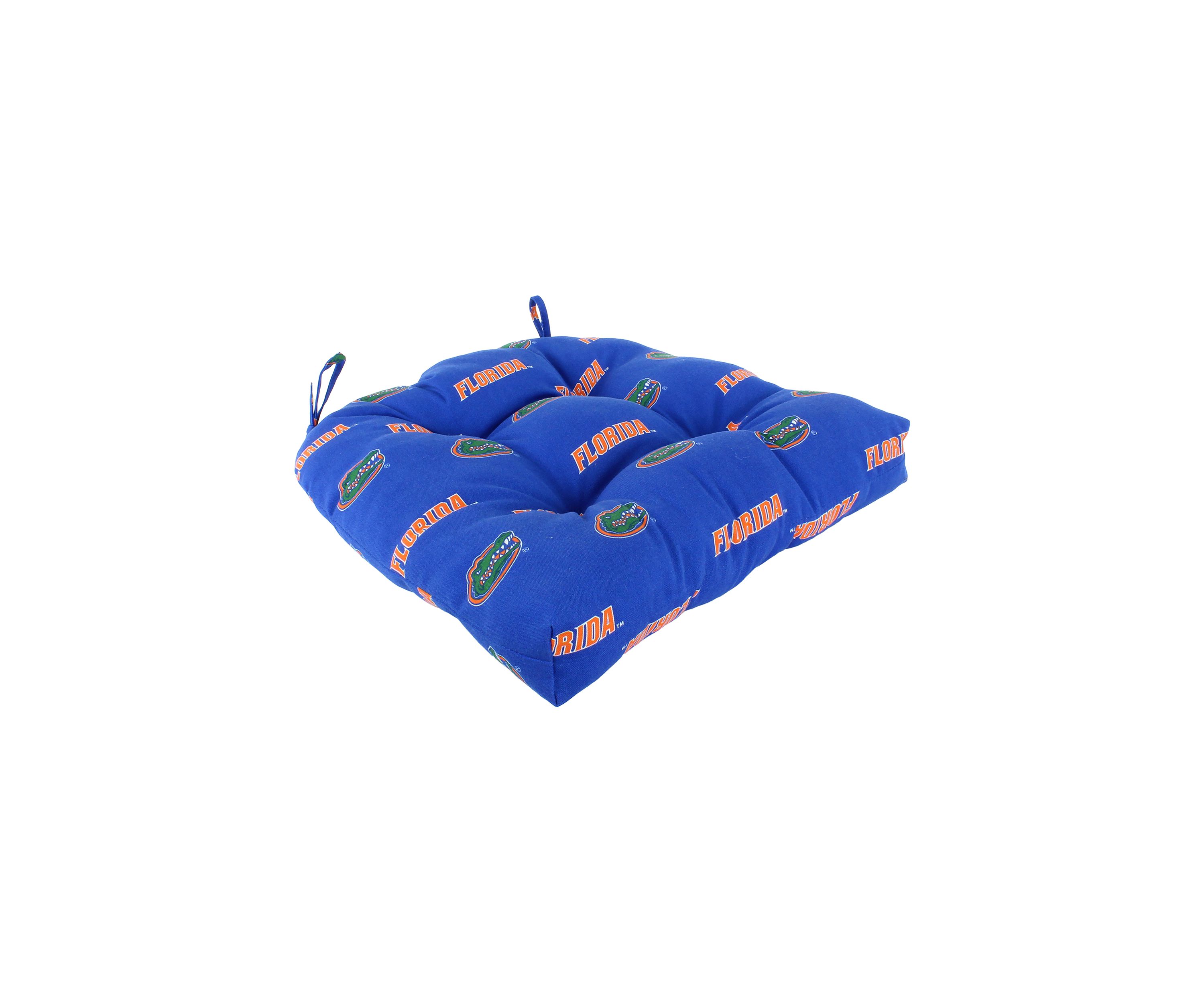 NCAA Florida Gators D Cushion