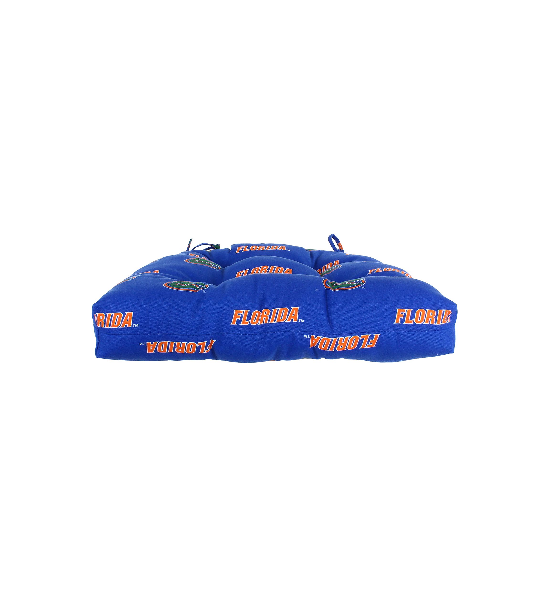 NCAA Florida Gators D Cushion