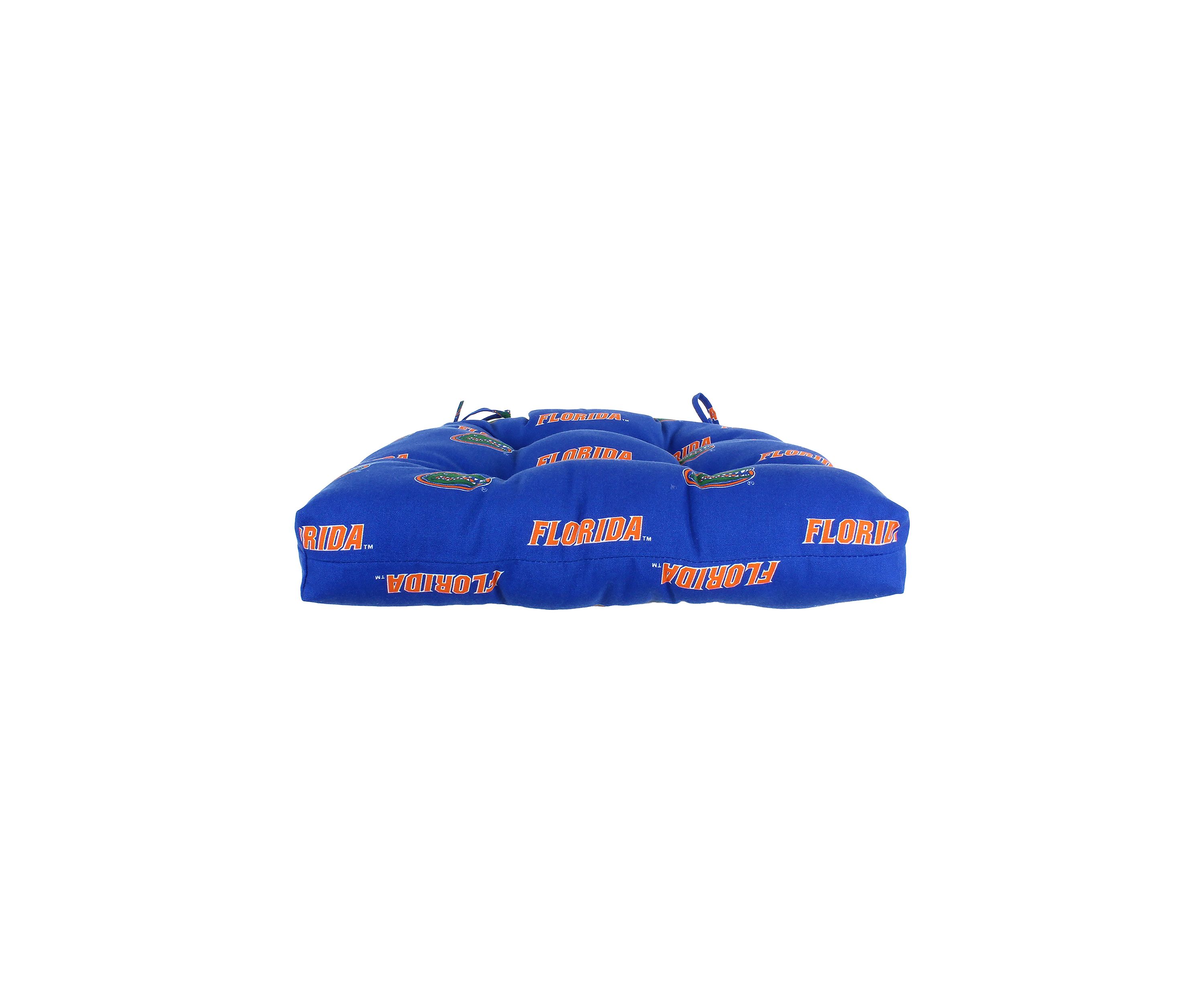 NCAA Florida Gators D Cushion