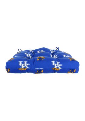 NCAA Kentucky Wildcats D Cushion