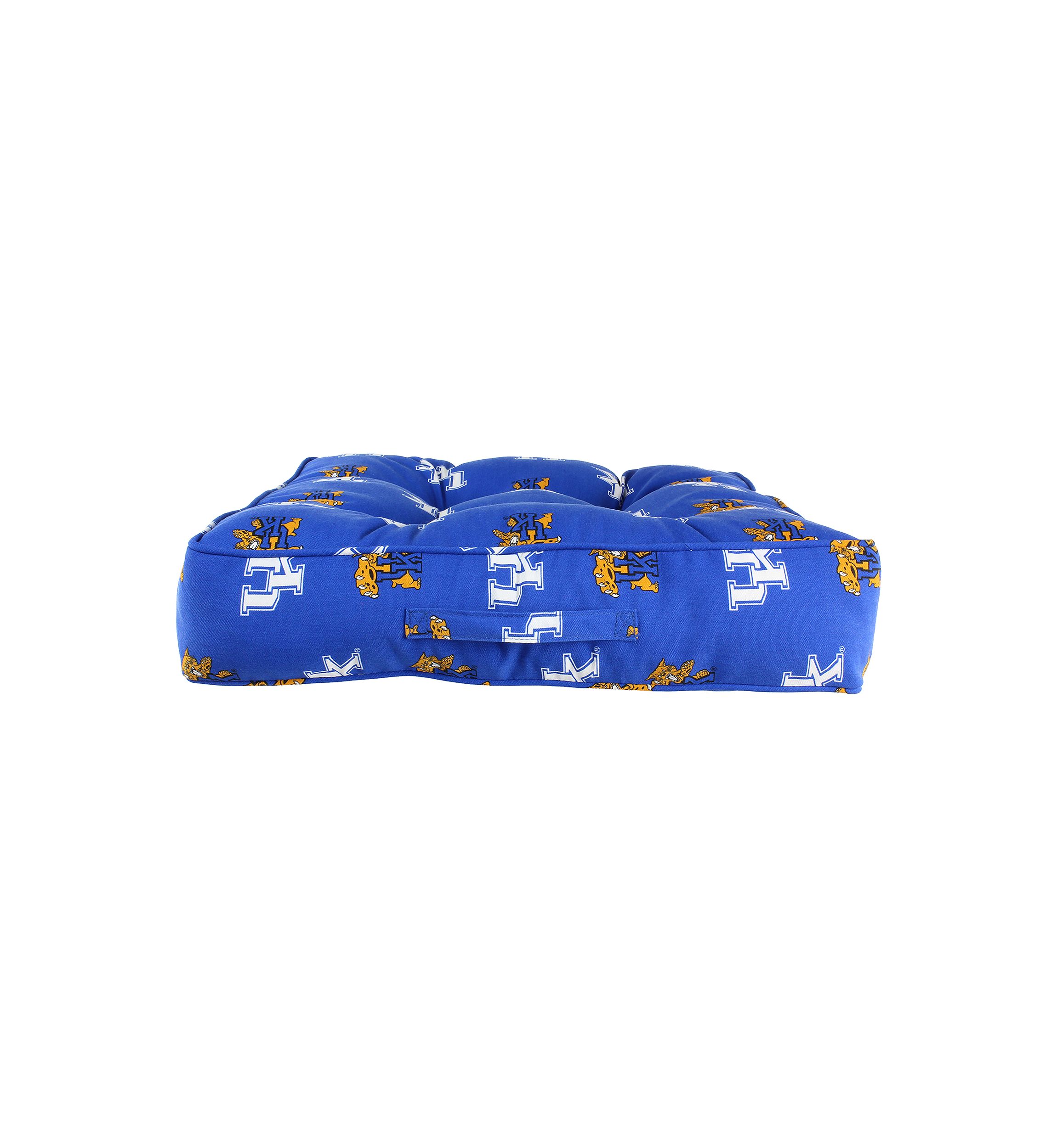 NCAA Kentucky Wildcats Floor Pillow