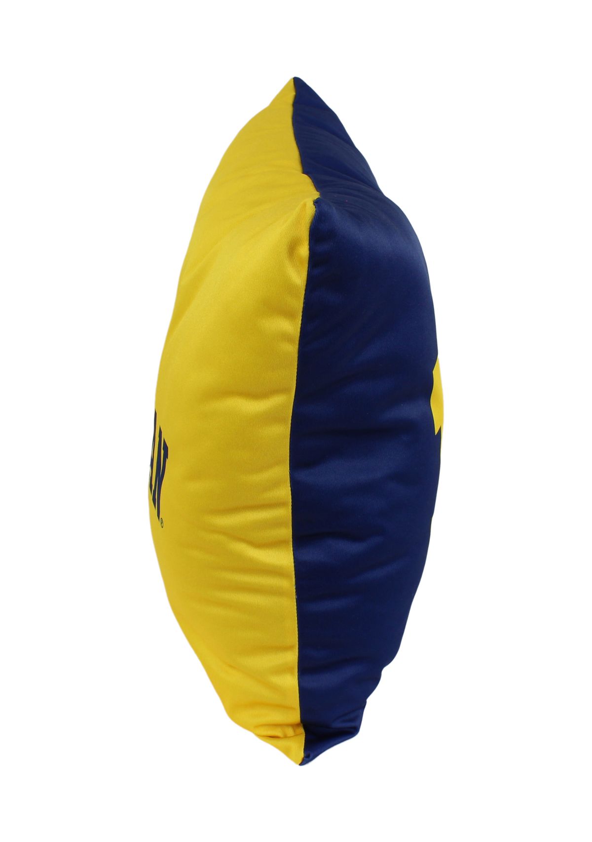 NCAA Michigan Wolverines Decorative Pillow