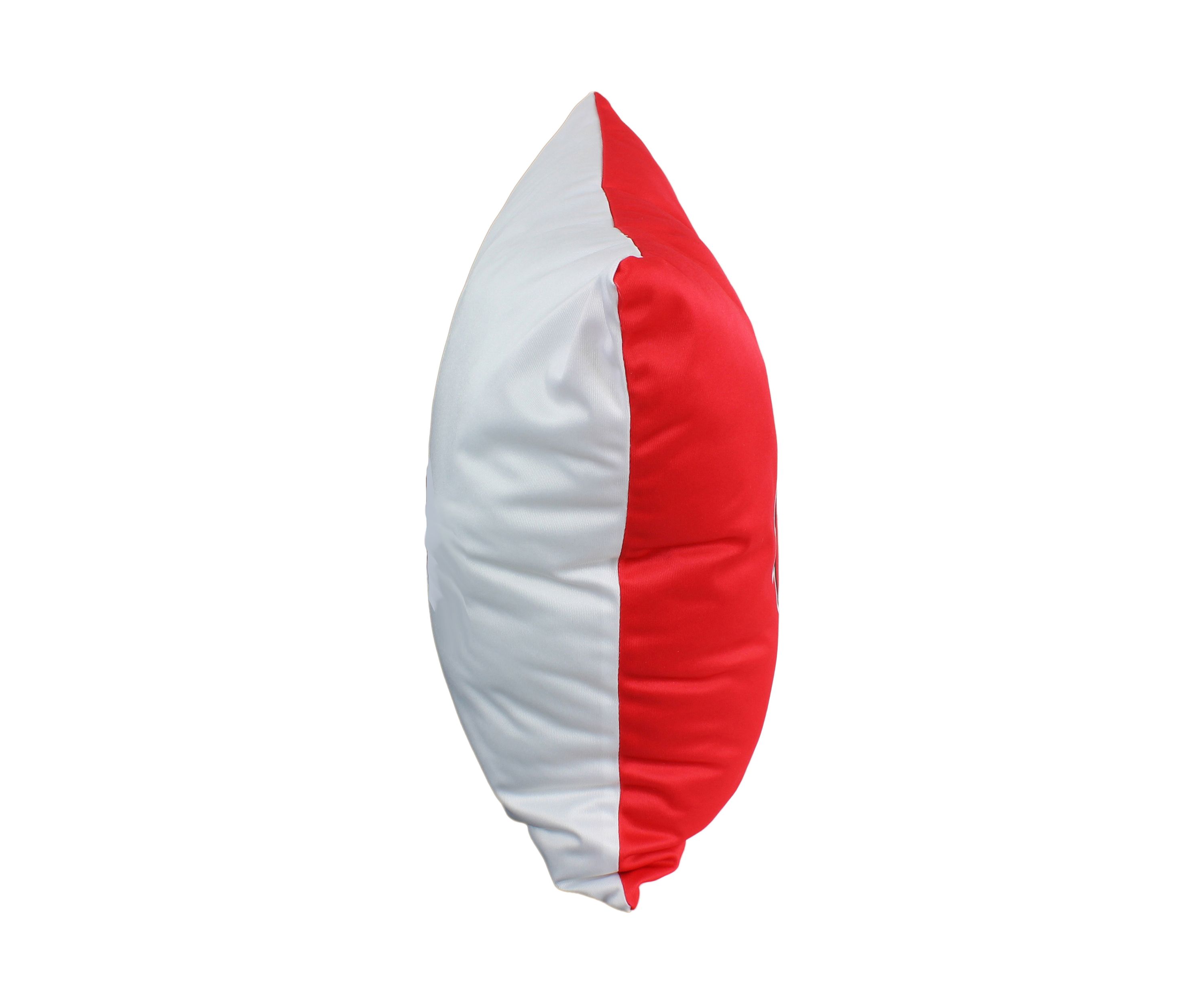 NCAA Wisconsin Badgers Decorative Pillow