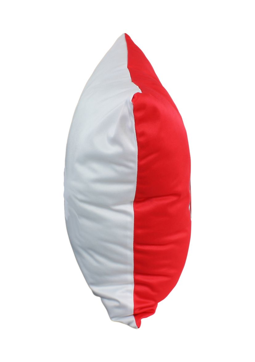 NCAA Wisconsin Badgers Decorative Pillow