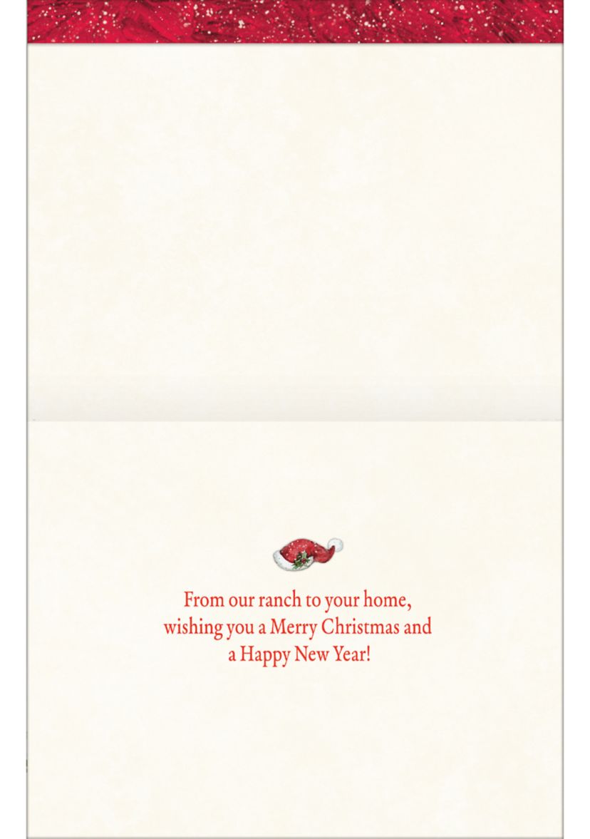 Holiday Highland Cow Boxed Christmas Card Set